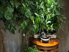 -慢丽江·云南野生菌土鸡锅(西山店)