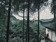 -韬光茶庵
