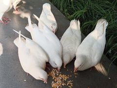 -人民广场