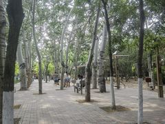 -南翠屏公园