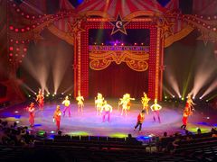 -珠海横琴长隆《卡卡虎奇遇记》