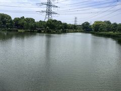 -九里河湿地公园