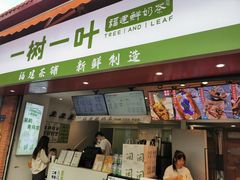 -一树一叶·福建茶档(石鼓路店)