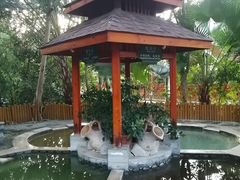 -碧水湾温泉