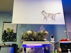 -平行世界·猫咖(首经贸店)