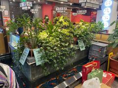-洞庭家宴·头牌甲鱼(广渠门店)