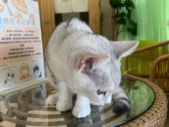-亚宠动物医院·芭比堂宠物医院(盘龙店)