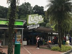 -圣淘沙天际线斜坡滑车