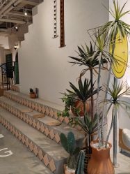 -好看加白色房子