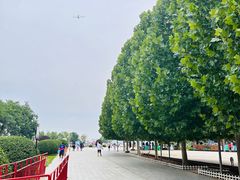 -武清南湖绿博园