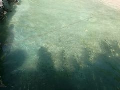 -东姑阿都拉曼海洋公园