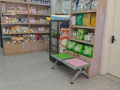 -四月宠物医院·猫专科·心脏专科·内科(转塘店)