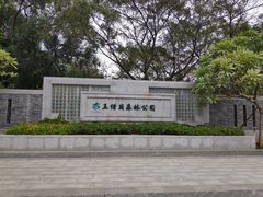 -王借岗森林公园