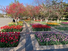 -石家庄市植物园