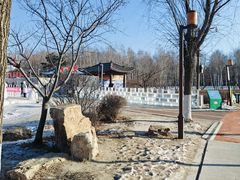 -长春市南湖公园