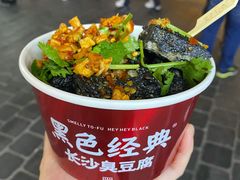 -黑色经典臭豆腐·湖南特产(坡子街店)