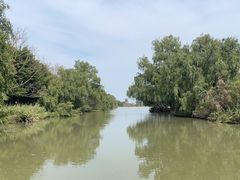 -大湾区中央湿地公园