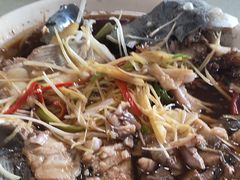 -煲来饱去冷水鱼