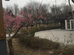 -唐城墙遗址公园