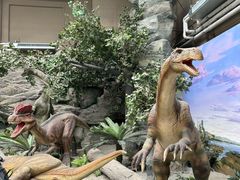 -国家自然博物馆