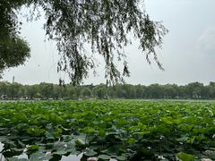 -长春市南湖公园