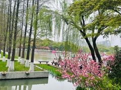 -圩墩遗址公园