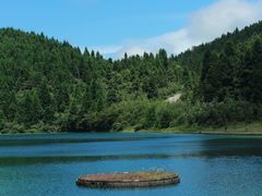 -武陵山森林公园