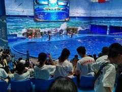 -多彩贵州城极地海洋世界