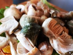 -易门野生菌府·菌海森林(月牙潭公园店)