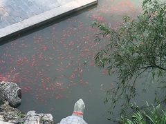 -幕燕滨江·长江观音景区