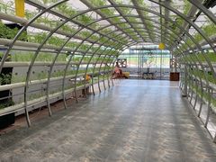 -兴芮温泉度假区