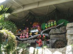 -南宫五洲植物乐园