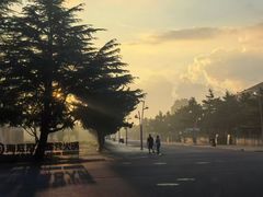 -日照海滨国家森林公园