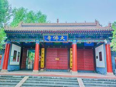 -张掖大佛寺景区