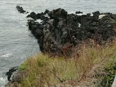 -龙头岩(Dragon Head Rock)