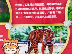 -成都动物园