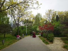 -丰台花园