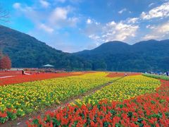 -广州市石门国家森林公园