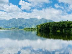 -大九湖