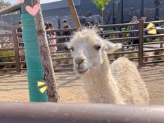 -武汉动物园