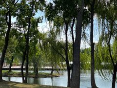 -玄武湖景区-情侣园游乐场