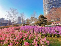 -北外滩滨江绿地