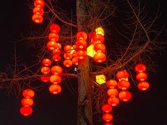 -胡桃里乐队酒馆(鎏嘉码头店)