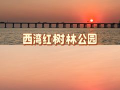 -宝安西湾红树林湿地公园