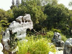 假山-朱家角课植园