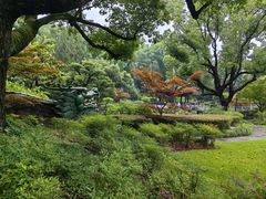 -申粤轩酒楼·三十年粤菜经典(丁香花园店)