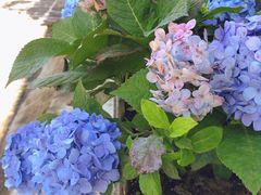 门面-妈妈的味道(和顺古镇店)