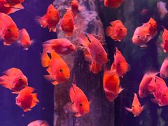 -常州海昌海洋探索馆