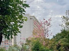 -金鸡岭桥头公园