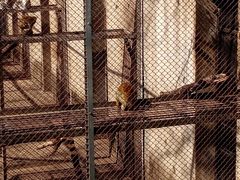 -合肥野生动物园